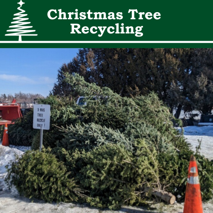 Christmas Tree Recycling