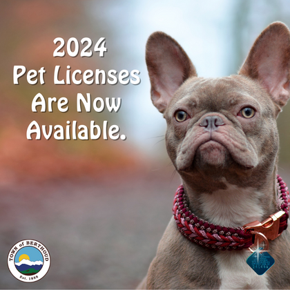 Pet license 