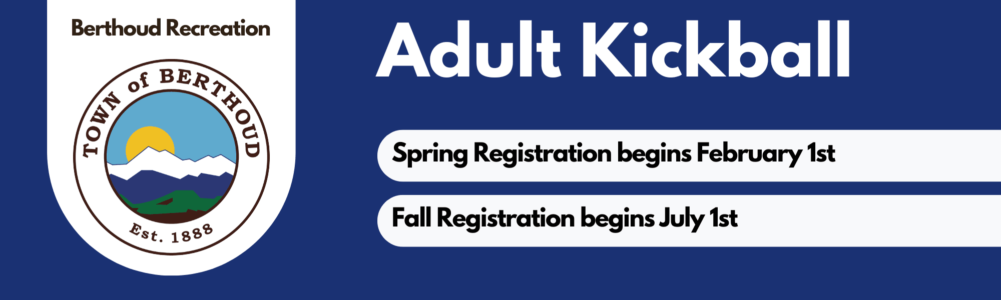 Adult Kickball Banner