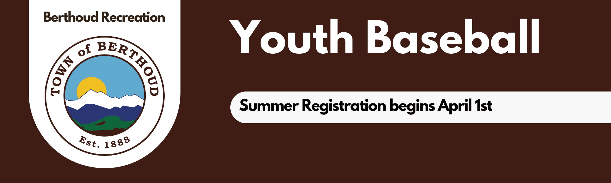 Youth Baseball Banner