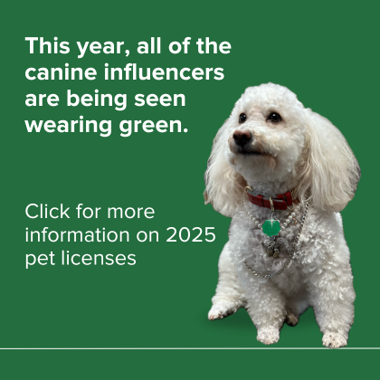 Information on pet licensing