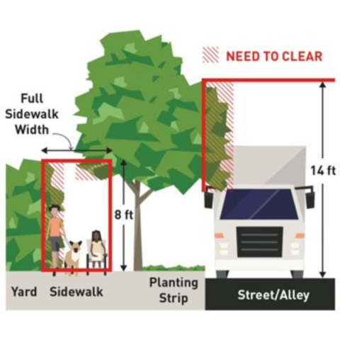 A photo showing the desired clearance for banches above city sidewalks and roads.
