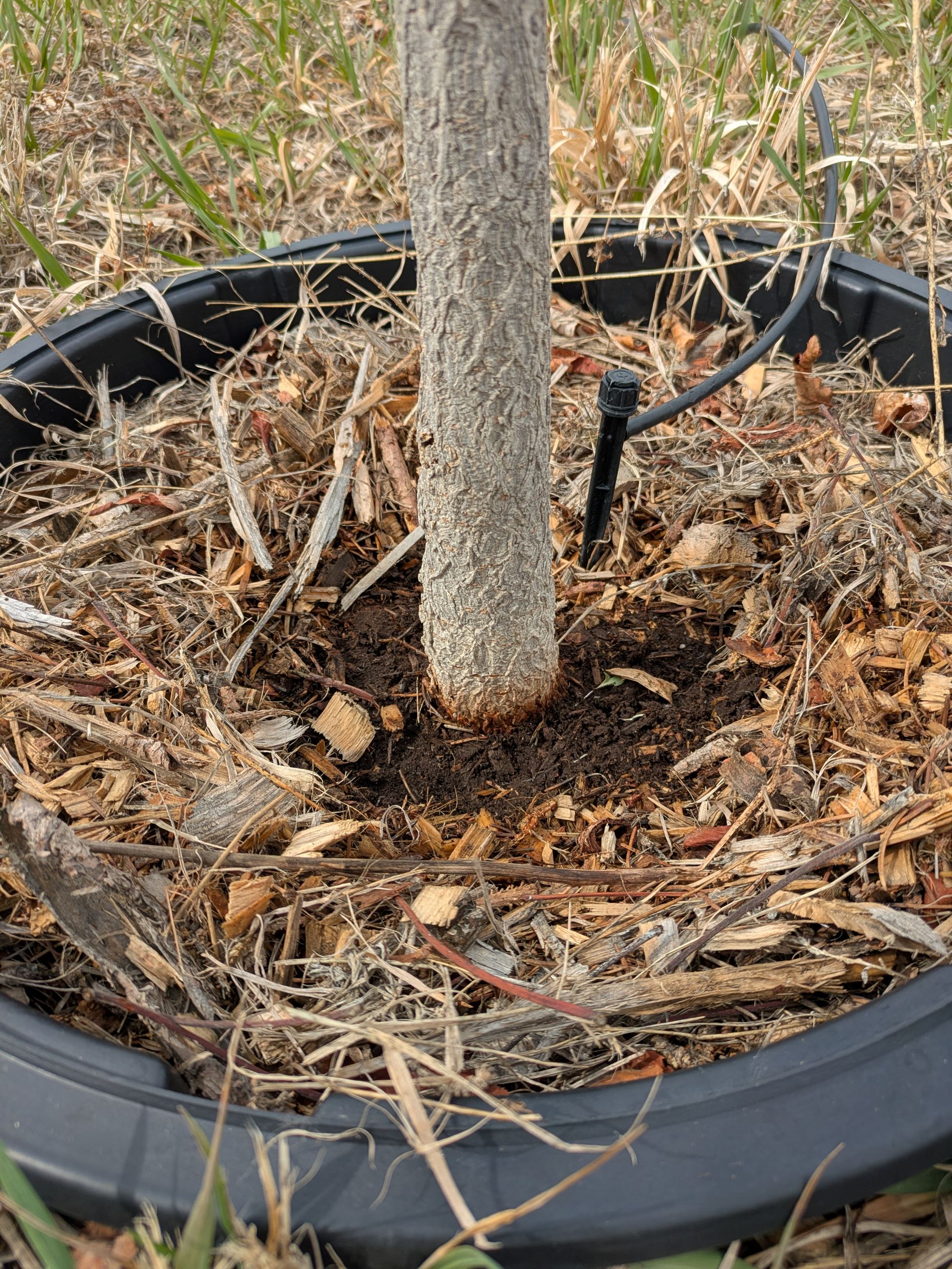 PXL_20250331_210225797