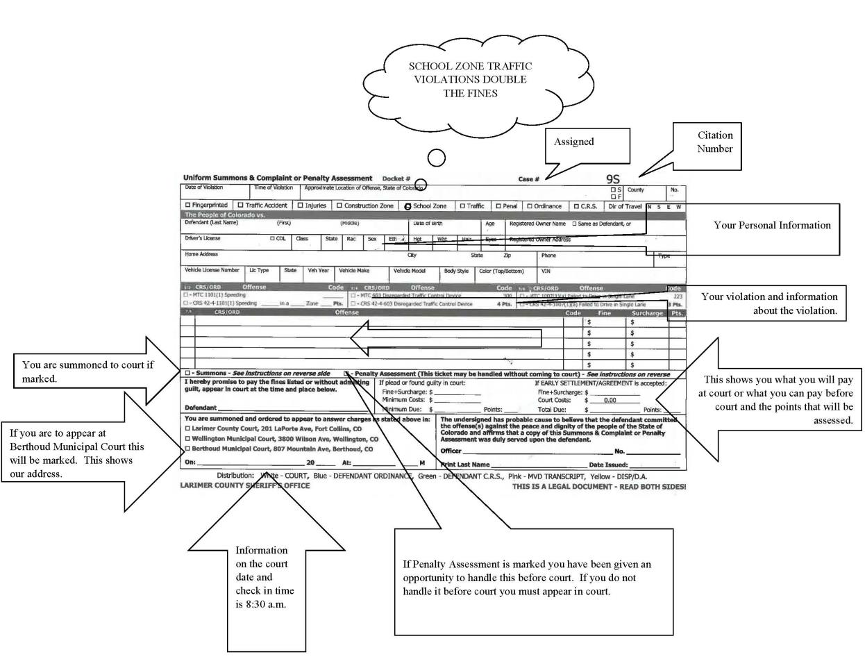Example Citation with information