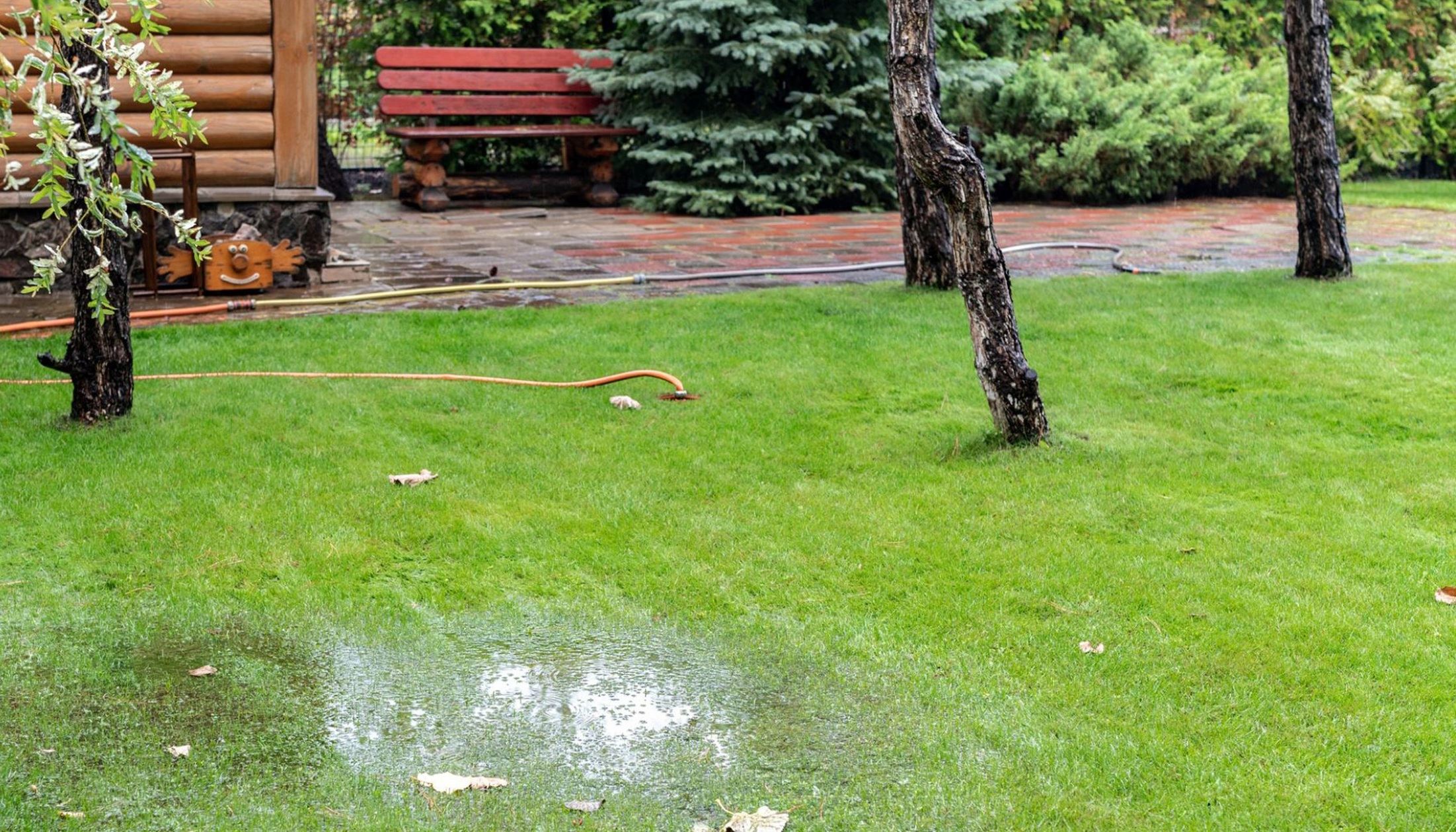 Waterlogged soil. A landscape with visible standing water in the lawn area. 